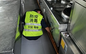 濮阳饭店除蟑灭老鼠